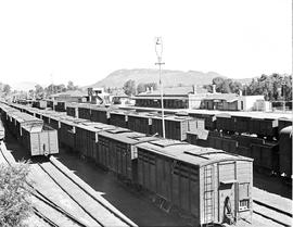 Queenstown, 1946. Railway goods yard.