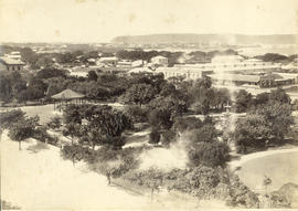 Durban. View over city park with the Bluff on the horizon.