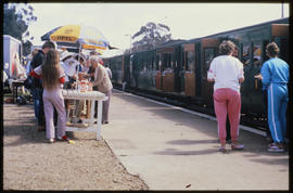 Loerie, Augustus 1983. Apple Express passenger train at station platform. [T Robberts]