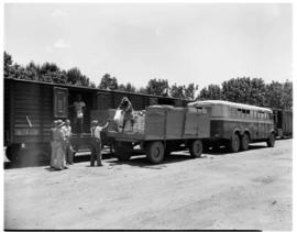 Louis Trichardt, 1953. SAR Albion three-axle bus unloading.