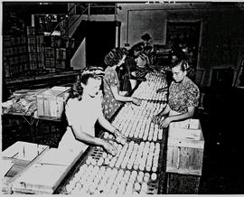 Bethlehem, 1946. Sorting eggs.