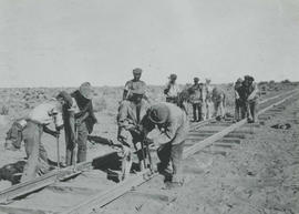 Upington district, 1914/15. Workers tightening bolts onto fish plates for the Prieska-Kalkfontein...