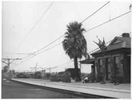 
Small station. Palm tree, gardener working in the station garden, trees and shrubs in pots. Elec...