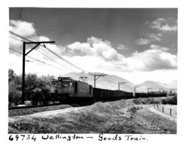 Wellington, 1961. Goods train drawn by SAR Class 4E.