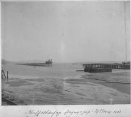 Durban, May 1902. Wharfage at the Bluff.