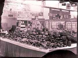 Display of vegetables at agricultural show or market.