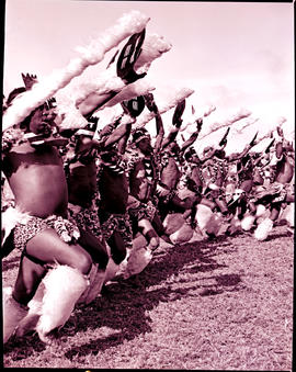 "Durban, 1976.  Zulu tribal dancing."