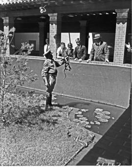 Port Elizabeth, 1950. Snake park.