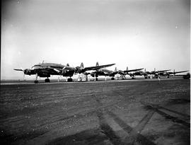 Johannesburg, 1950. Palmietfontein airport. Four SAA Lockheed Constellation aircraft lined up for...