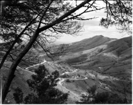 Tzaneen district, 1942. Magoebaskloof.