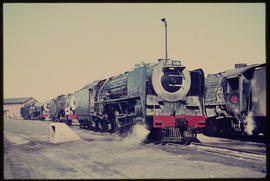 SAR Class 15E alongside an assortment of locomotives.