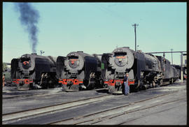 De Aar, May 1977. Lineup of SAR Class 25NC's - No 3432 'Lady Jane; No 3458 'Charlene'; and  No 34...