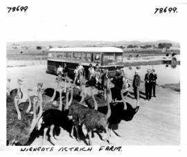 Oudtshoorn district, 1970. SAR Mercedes Benz motor coach with Garden Route tourists at Highgate o...