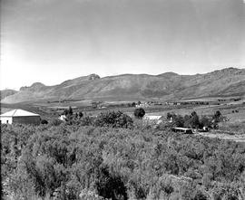 Montagu district, 1947. Koo valley.