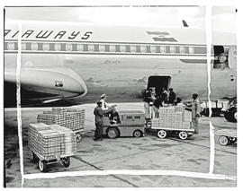 
SAA Boeing 707 ZS-CKC 'Johannesburg'. Loading cargo of South African fruit.
