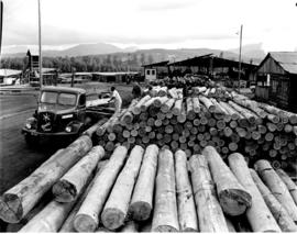 Tzaneen district, 1963. Logs at the timber mill at Politsi.