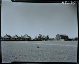 "Kroonstad district, 1940. Experimental seed farm."