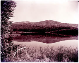 Tzaneen district, 1952. Merensky dam.