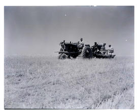 "Kroonstad district, 1946. Reaping wheat."