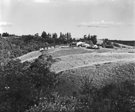 Tzaneen district, 1952. Magoebaskloof, view on mountain resort.