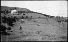 Circa 1925. .Railway line skirting little hill in the distance. (Album on Natal electrification)