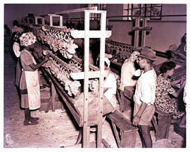 Paarl district, 1950. Grape packing sheds.