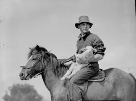 Uniondale district, 1954. Shepherd with lamb on pony.