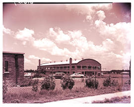 Springs, 1954. Belt factory.