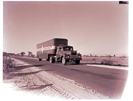 "Kimberley district, 1966. SAR International Harvester R34445 horse with trailer on open roa...