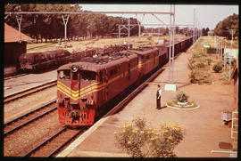 Delmas. Goods train headed by SAR Class 5E Srs 1 No E262 arriving with goods train at railway sta...