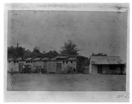 Durban, circa 1901. Shacks. (Durban Harbour album of CBP Lewis)