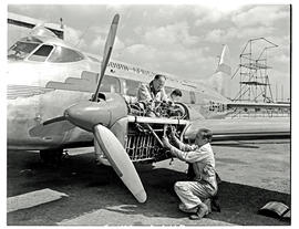 
de Havilland DH.104 Dove ZS-BCB 'Naval Hill' undergoing engine maintenance.
