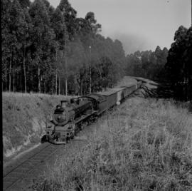Tzaneen district, 1963. SAR Class 19 with fruit train at Politsi near Duiwelskloof.