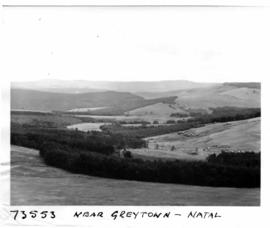 Greytown district, 1964. Valley.