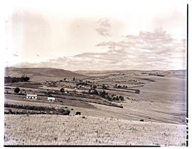 Transkei, 1951. Kraal in the distance.