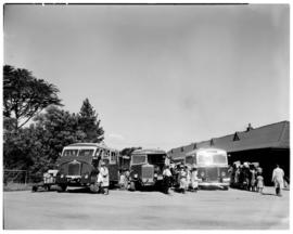 Louis Trichardt, 1953. SAR Albion buses loading.