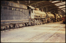 April 1995. SAR Class 14CR (left) and SAR Class 19D (right) in loco shed.