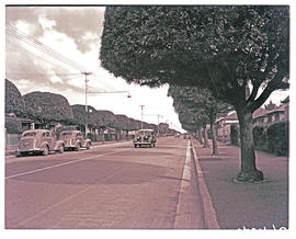 Springs, 1940. Tree-lined street.