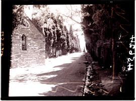 "Aliwal North, 1938. Tree-lined street."