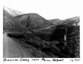 Prince Albert district, 1970. Road to Gamkas valley.