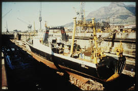 Cape Town. Ship in Sturrock dock in Table Bay Harbour.