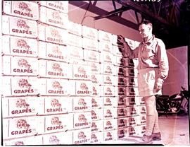 "De Doorns district, 1960. Grapes in boxes ready for export."