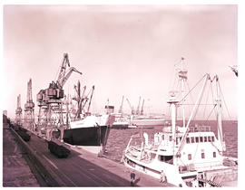 Cape Town, 1964. Table Bay harbour.