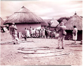 Tzaneen district, 1946. Queen Modjadji's kraal with photographers filming.