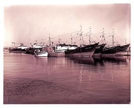 Saldanha Bay, 1977. Numerous ships in Saldanha Harbour.
