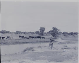 
Young boy collecting water at river with kraal in the distance.
