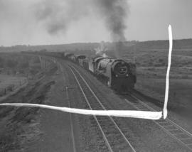 Kroonstad district, 1957. Goods train.