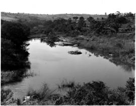 Tzaneen district, 1953. Letaba river.