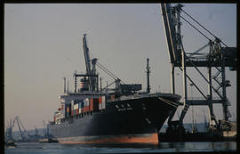 Durban, 1982. 'Hayakawa Maru' in Durban Harbour.