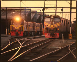 Johannesburg, 1990. SAR Class 5E1 Srs 5 No E919.